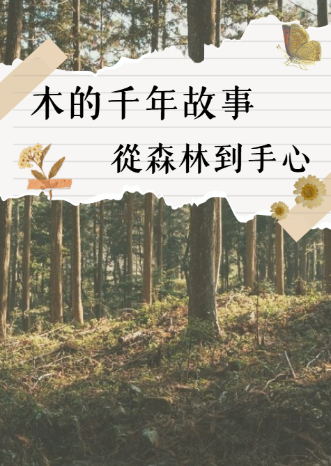 木頭的故事封面
